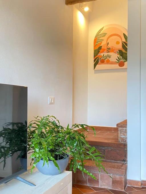 Relax&Business Wi-Fi, Tv Hd, Parcheggio Gratuito Villa Capannori Kültér fotó